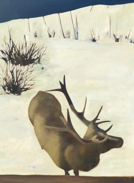 Winter Visitor 40x30 oil on canvas by TS Harris